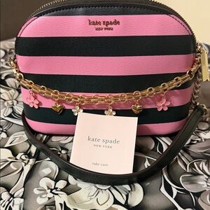 Kate Spade Pink and Black Striped Crossbody Bag